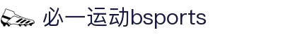 必一(运动科技有限公司)官方网站-B·Sport